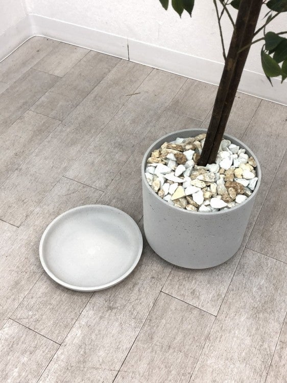 フェイクグリーン 商品画像10