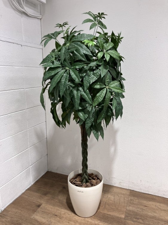 フェイクグリーン 商品画像1