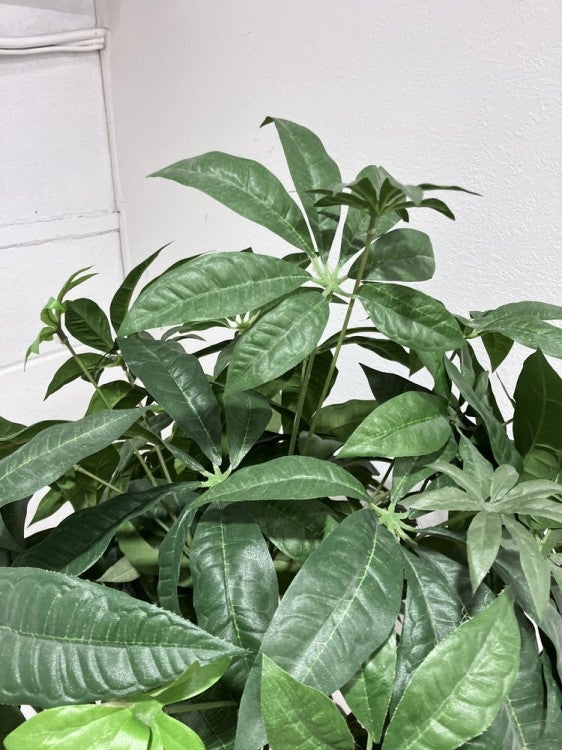 フェイクグリーン 商品画像2