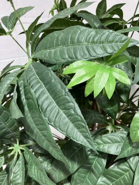 フェイクグリーン 商品画像3