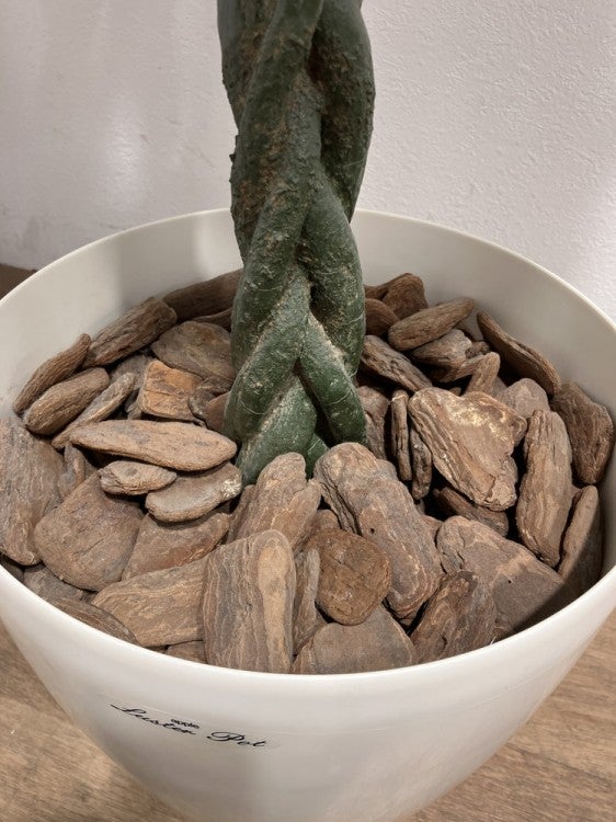 フェイクグリーン 商品画像7