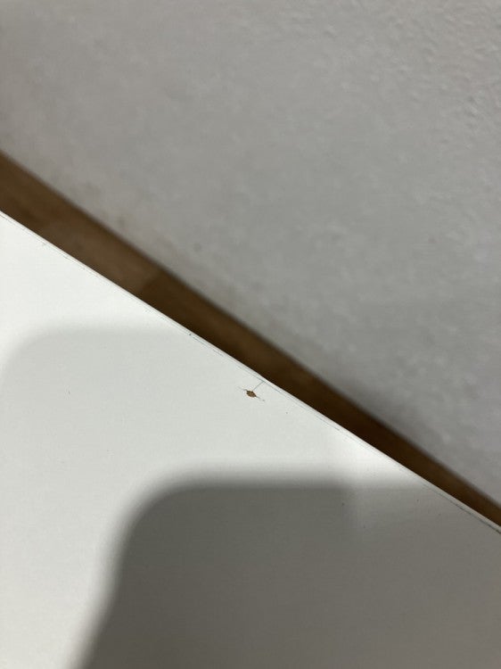 コクヨビエナ（VIENA）シリーズ 角テーブル 商品画像11