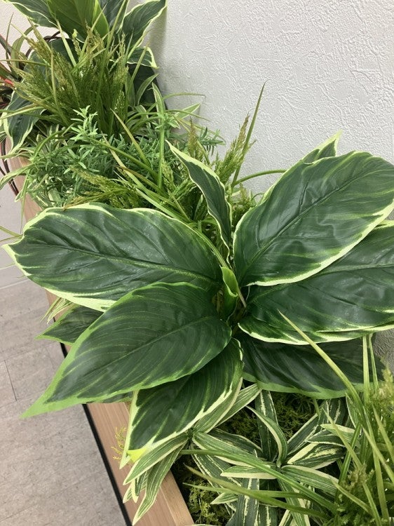 プランターボックス 商品画像9