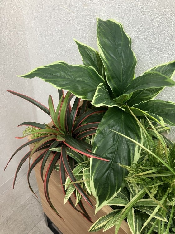 プランターボックス 商品画像10