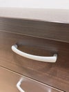 ライオンPLシリーズ 役員デスク 商品画像5