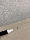 イトーキミーティングテーブル 商品画像9