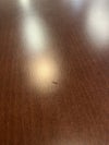 オリバー応接4点セット 商品画像21