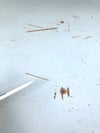 オカムラ中量棚 商品画像9