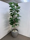 コクヨin GREENシリーズ フェイクグリーン 商品画像1