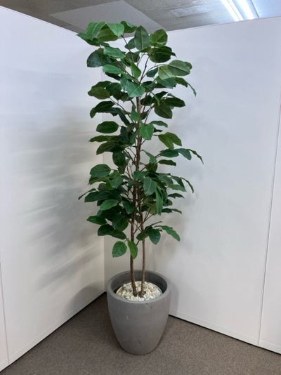 コクヨin GREENシリーズ フェイクグリーン 商品画像1