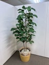 コクヨin GREENシリーズ フェイクグリーン 商品画像1