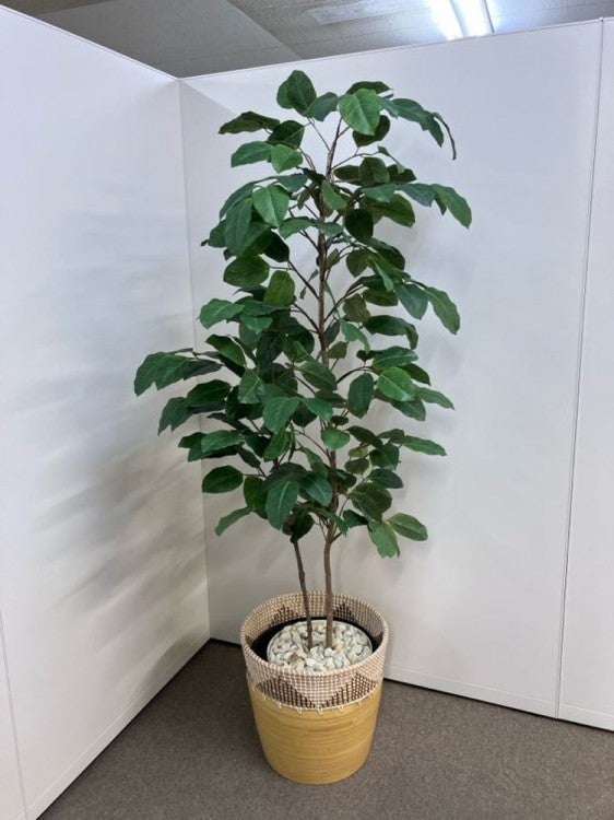 コクヨin GREENシリーズ フェイクグリーン 商品画像1