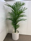 コクヨアイレストグリーンシリーズ フェイクグリーン 商品画像1