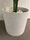 コクヨアイレストグリーンシリーズ フェイクグリーン 商品画像5