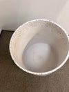 コクヨアイレストグリーンシリーズ フェイクグリーン 商品画像7