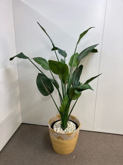 コクヨin GREENシリーズ フェイクグリーン 商品画像1