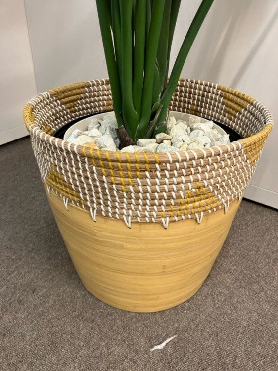 コクヨin GREENシリーズ フェイクグリーン 商品画像5