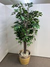 コクヨアイレストグリーンシリーズ フェイクグリーン 商品画像1