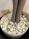 コクヨアイレストグリーンシリーズ フェイクグリーン 商品画像4