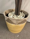 コクヨアイレストグリーンシリーズ フェイクグリーン 商品画像5