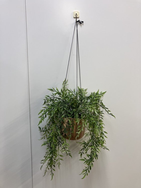 コクヨin GREENシリーズ ハンギンググリーン 商品画像1