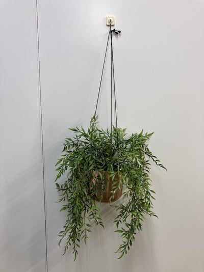コクヨin GREENシリーズ ハンギンググリーン 商品画像1