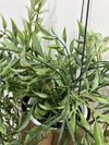 コクヨin GREENシリーズ ハンギンググリーン 商品画像2