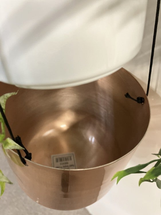 コクヨin GREENシリーズ ハンギンググリーン 商品画像4