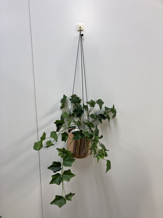 コクヨin GREENシリーズ ハンギンググリーン 商品画像1