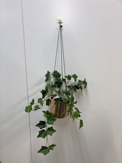 コクヨin GREENシリーズ ハンギンググリーン 商品画像1