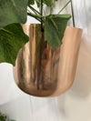 コクヨin GREENシリーズ ハンギンググリーン 商品画像4