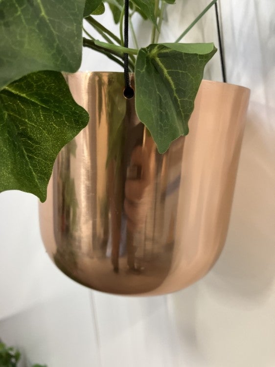 コクヨin GREENシリーズ ハンギンググリーン 商品画像4