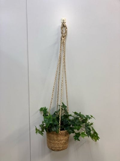 ハンギンググリーン 商品画像1