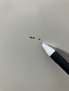 ウチダ（内田洋行）9人用ロッカー 商品画像10