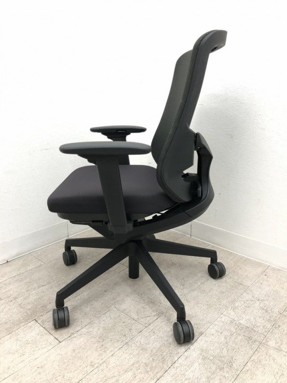 ナイキセリフトチェア 可動肘付セリフトチェア 商品画像3
