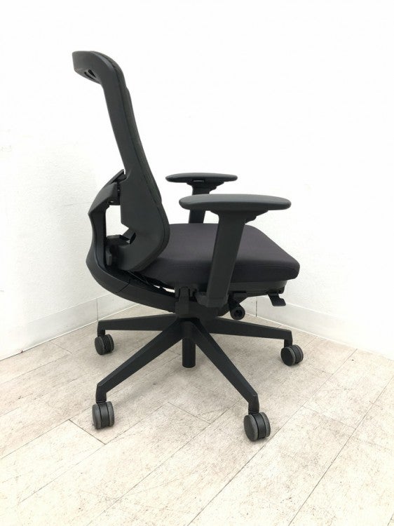 ナイキセリフトチェア 可動肘付セリフトチェア 商品画像5