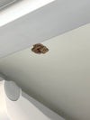 コクヨメディレージシリーズ 医療用キャビネット 商品画像15