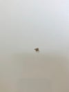 コクヨメディレージシリーズ 医療用キャビネット 商品画像21