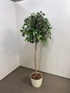 フェイクグリーン 商品画像1