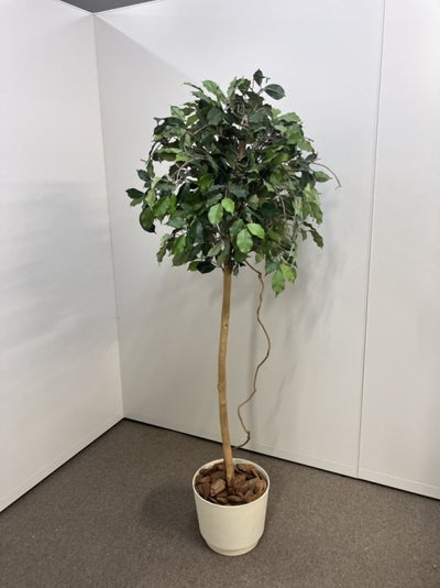 フェイクグリーン 商品画像1