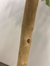 フェイクグリーン 商品画像4