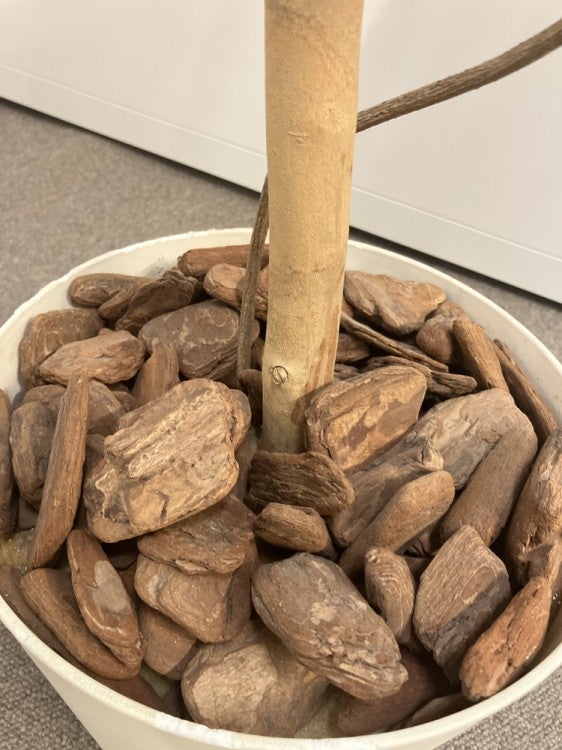 フェイクグリーン 商品画像5