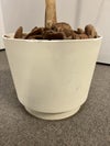 フェイクグリーン 商品画像6