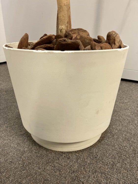 フェイクグリーン 商品画像6