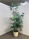フェイクグリーン 商品画像1