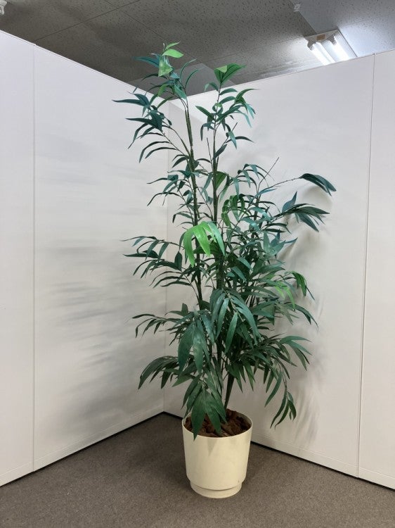 フェイクグリーン 商品画像1