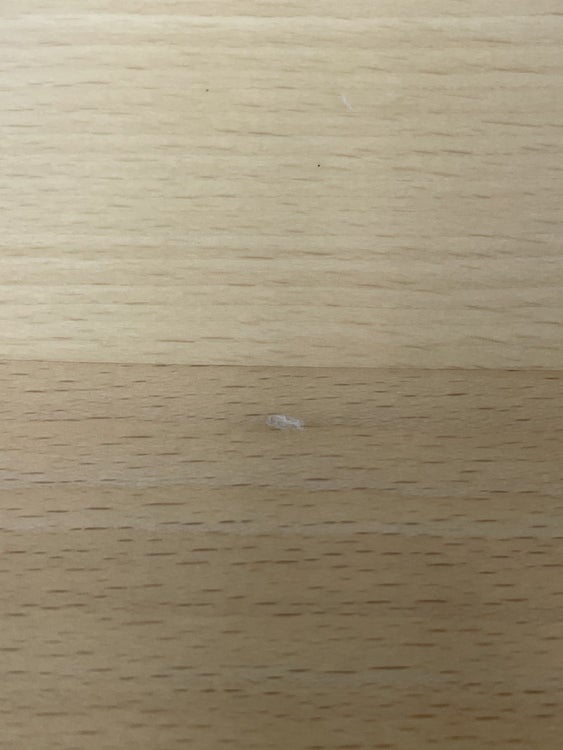 マジス（MAGIS）スティールウッドチェア 商品画像14