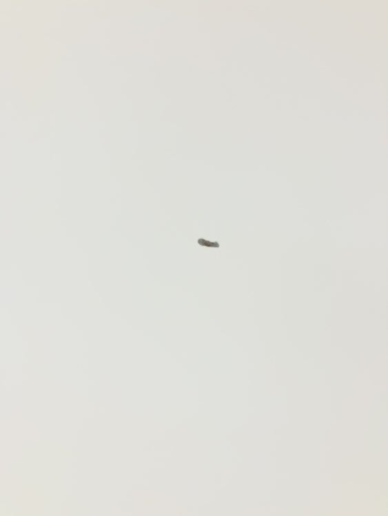 クロガネワードローブ 商品画像10