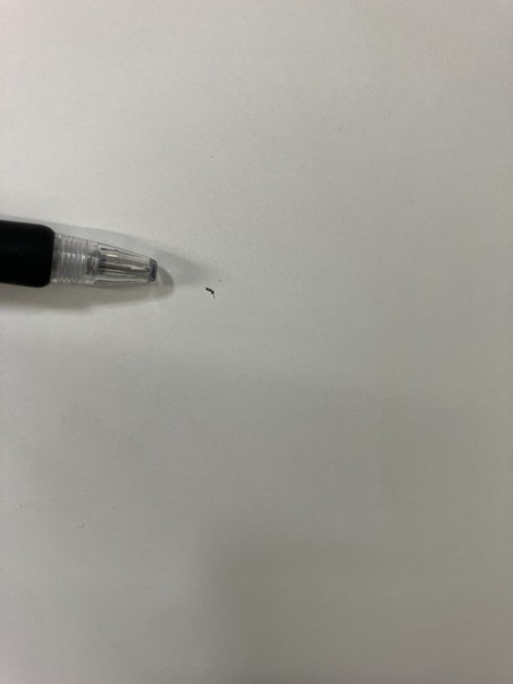 コクヨSEQENCE(シークエンス)シリーズ 電動昇降デスク 商品画像14