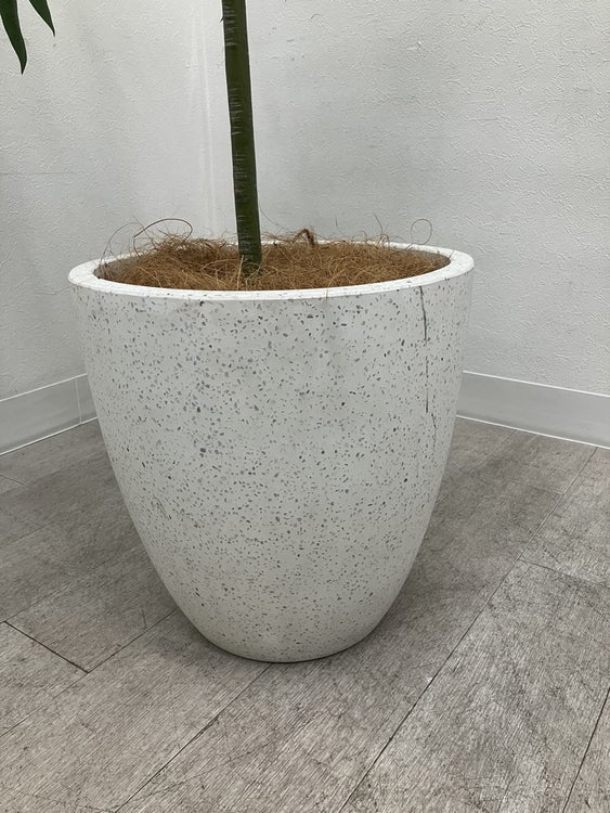 フェイクグリーン 商品画像3